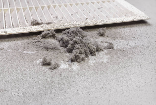 Best Professional Duct Cleaning Services  in Atco, NJ